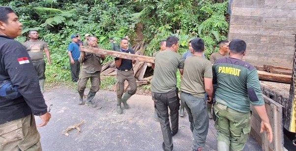 KPH III Aceh Sita Puluhan Batang Kayu Ilegal di Hutan Lindung Leles Serbajadi Lokop Aceh Timur